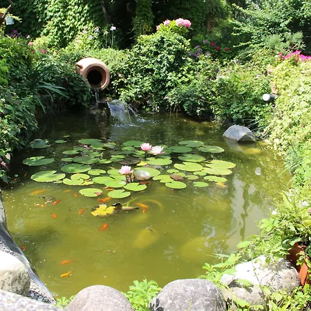 Ines Bed & Breakfast