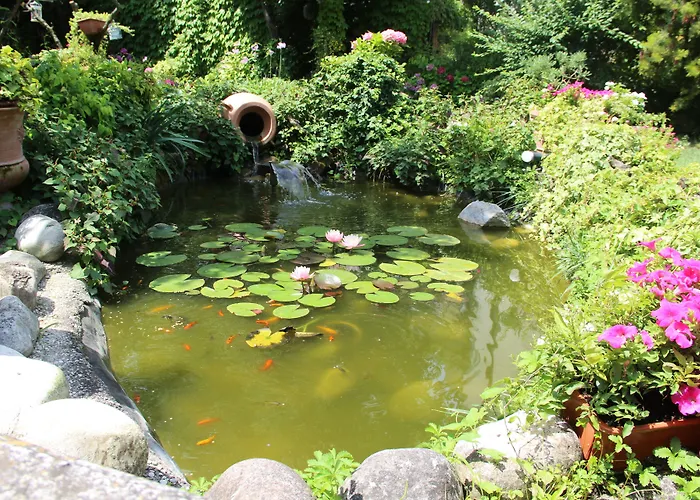 Ines Alojamento de Acomodação e Pequeno-almoço